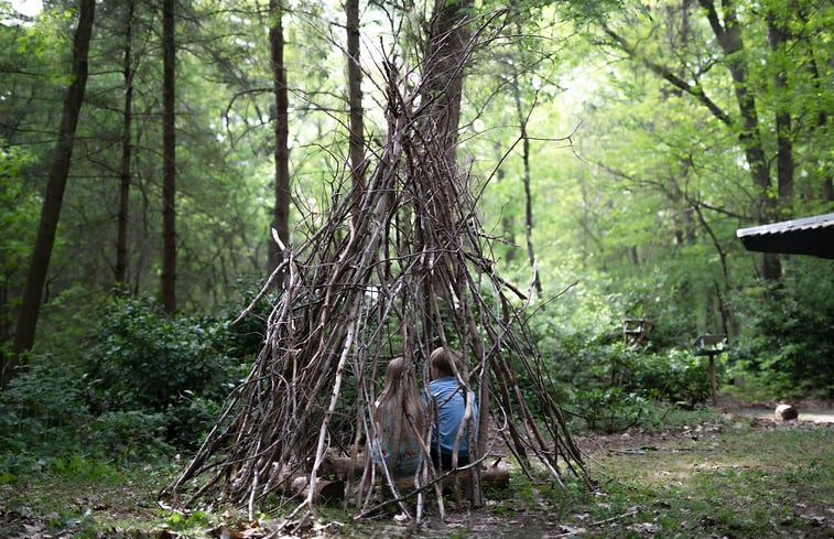 Natuurhuisje in Voorthuizen