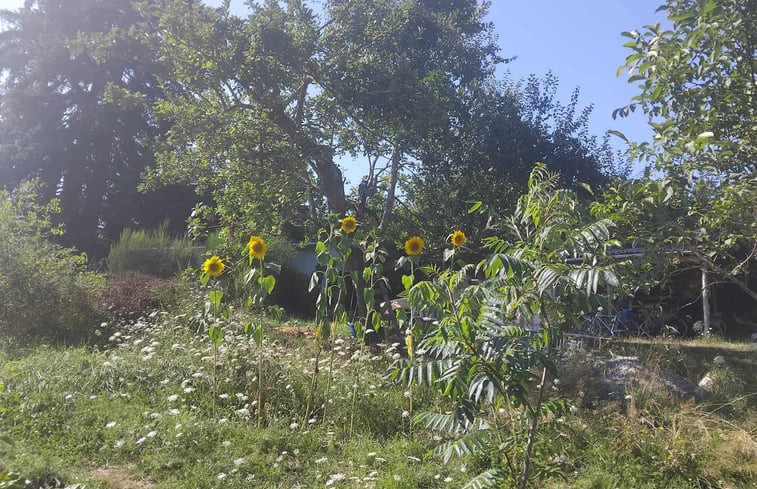 Natuurhuisje in Trois-Fonds