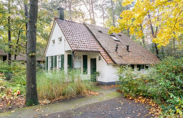 Natuurhuisje in IJhorst