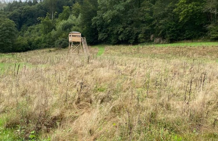 Natuurhuisje in La roche-en-ardenne