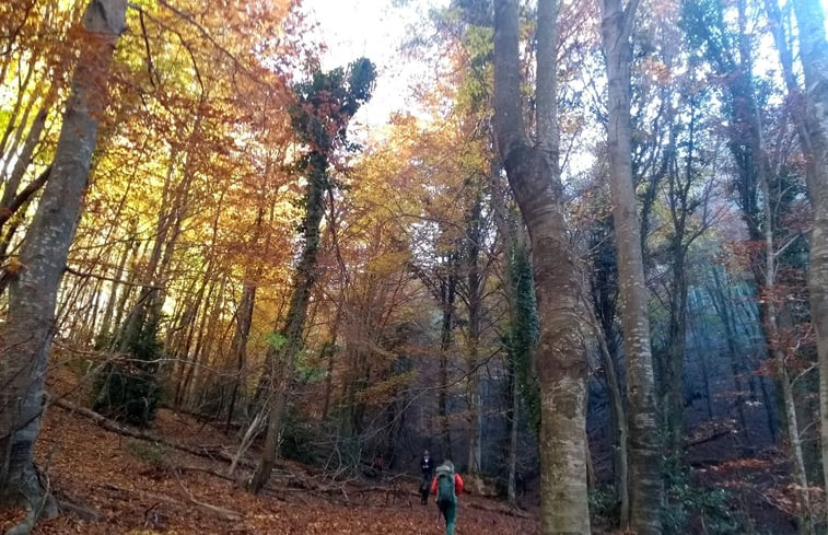 Natuurhuisje in Mieres