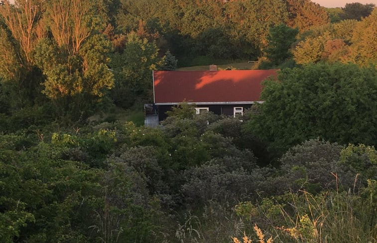 Natuurhuisje in Ouddorp