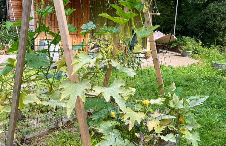 Natuurhuisje in Otterlo