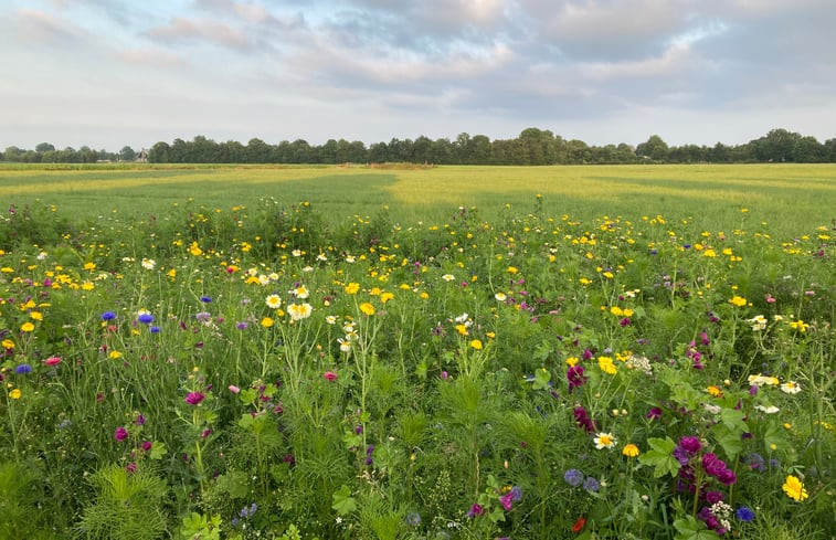 Natuurhuisje in Koudum