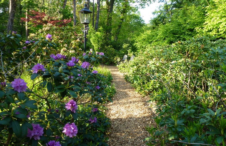 Natuurhuisje in Markelo