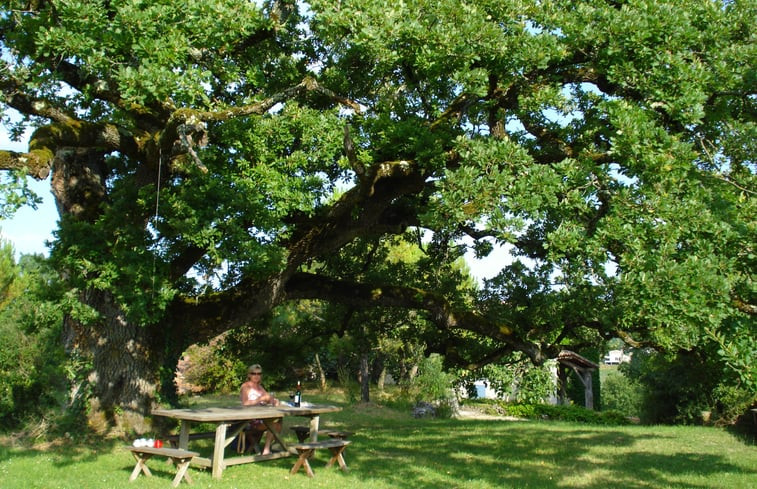 Natuurhuisje in Villeneuve Sur Lot