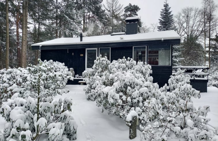 Natuurhuisje in Holten