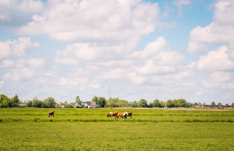 Natuurhuisje in Echtenerbrug