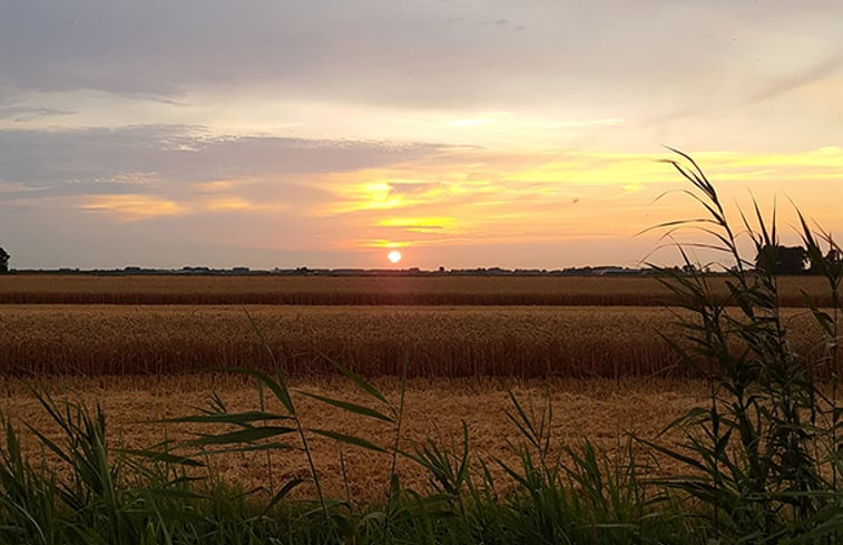 Natuurhuisje in Zuidland