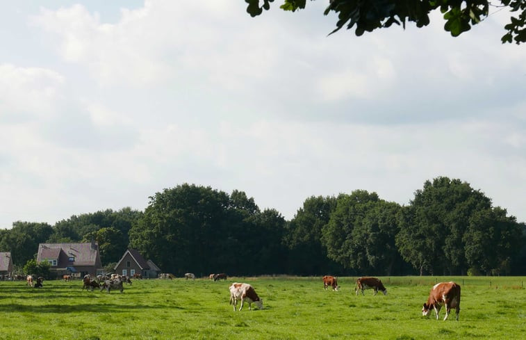 Natuurhuisje in Markelo