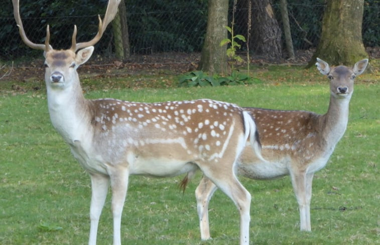 Natuurhuisje in Meppen