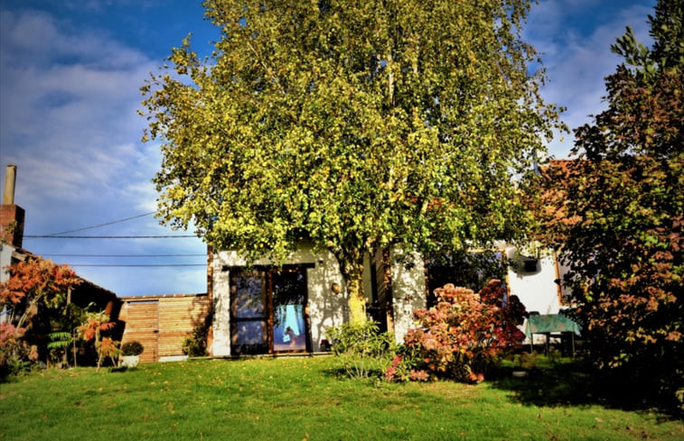 Natuurhuisje in Frasnes-lez-Buissenal