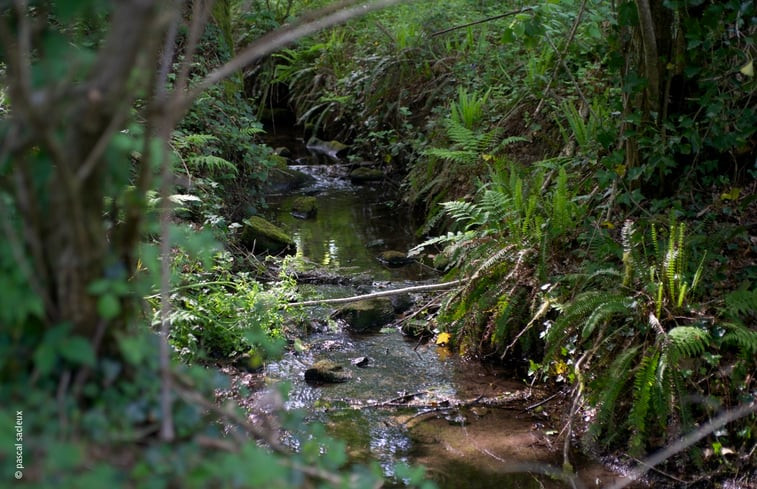 Natuurhuisje in Noyal-Muzillac