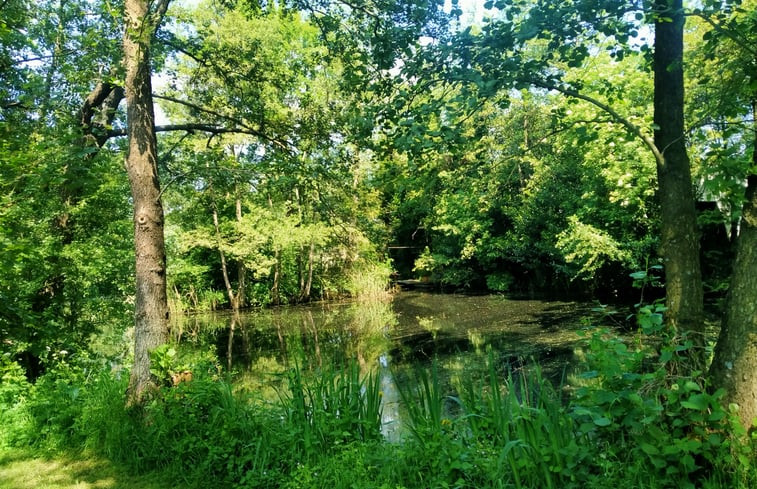 Natuurhuisje in Kollumerzwaag