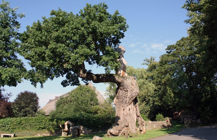 Natuurhuisje in Dötlingen Ostrittrum