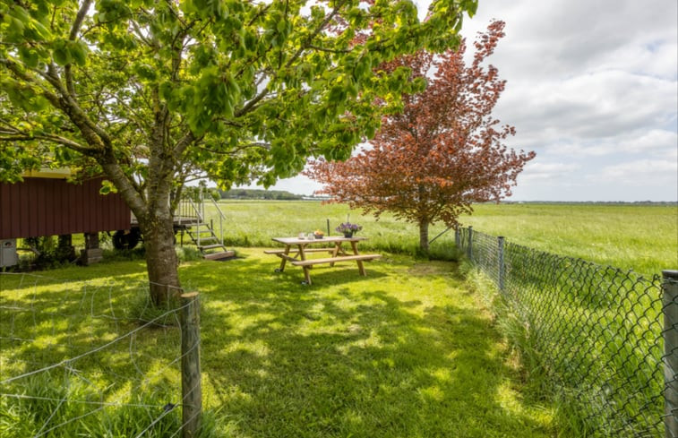 Natuurhuisje in Wezep/Oldebroek