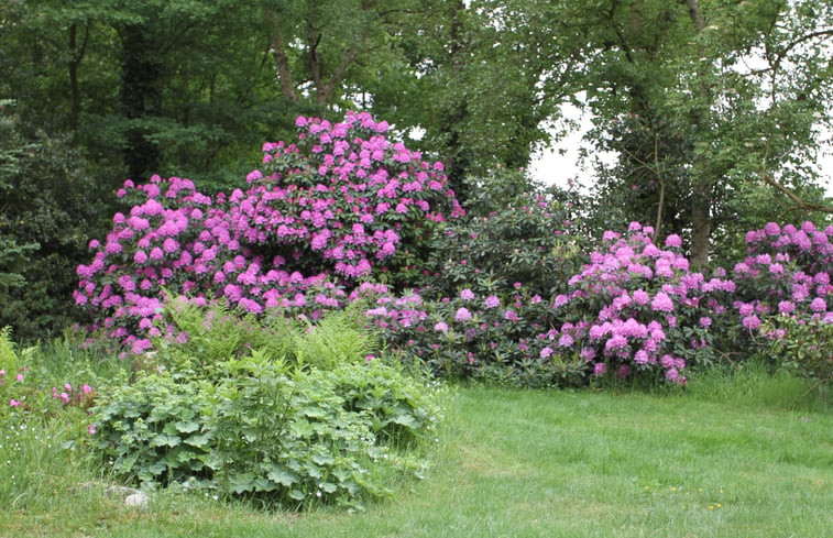 Natuurhuisje in Uffelte