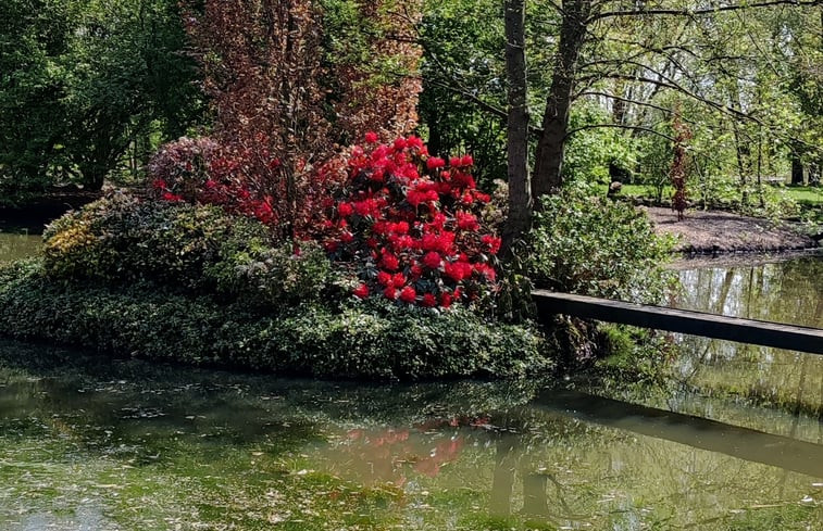 Natuurhuisje in Coevorden