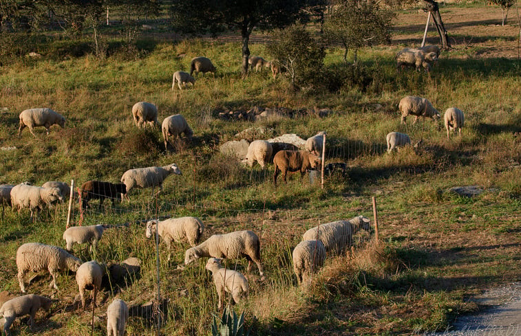 Natuurhuisje in Ourique