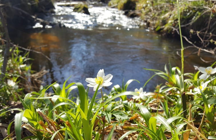 Natuurhuisje in PENSOL