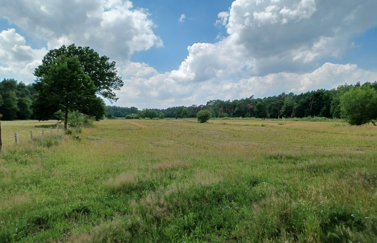 Natuurhuisje in Wechelderzande