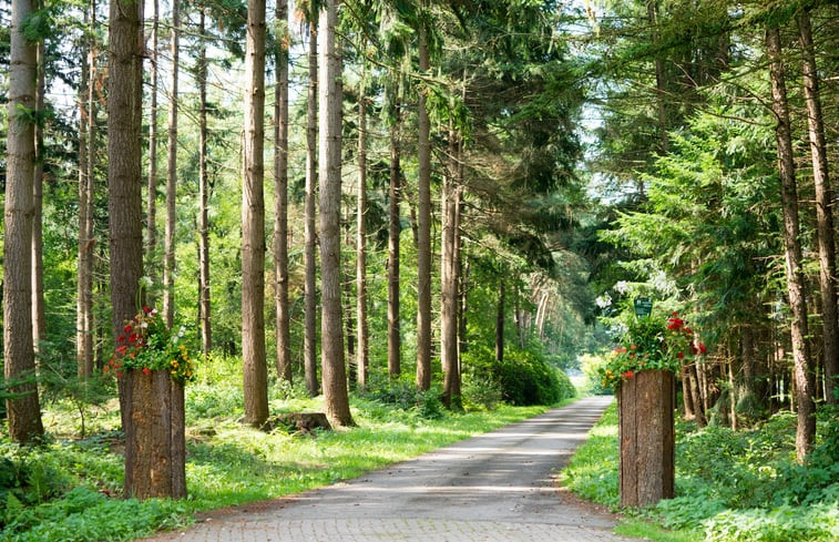 Natuurhuisje in Hengevelde