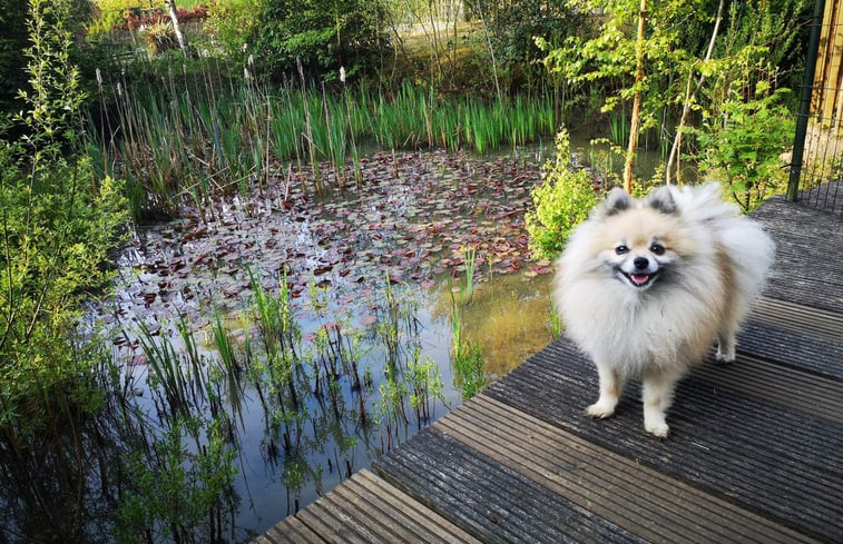 Natuurhuisje in Holsbeek