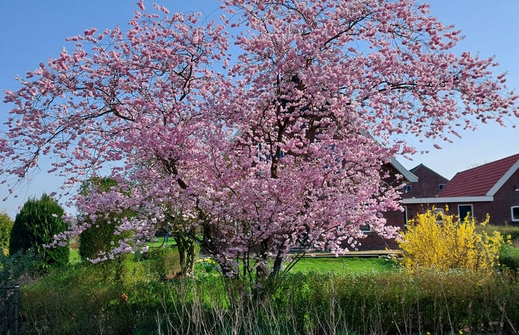 Natuurhuisje in Eibergen