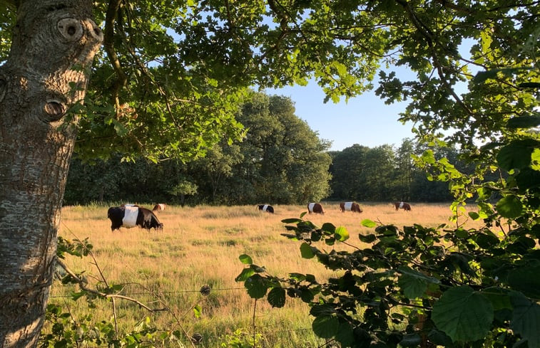 Natuurhuisje in Onstwedde