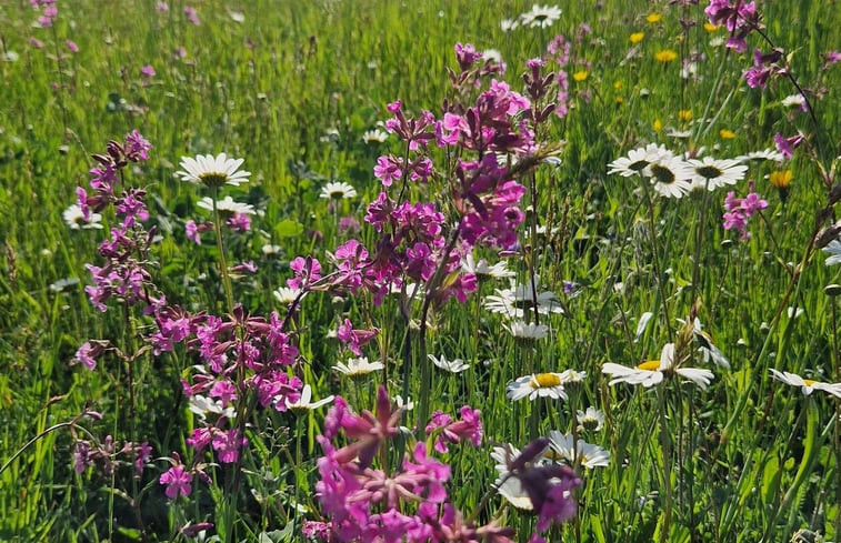 Natuurhuisje in Breitenberg