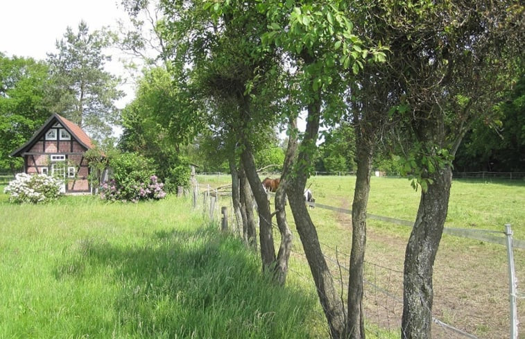 Natuurhuisje in Wehrbleck