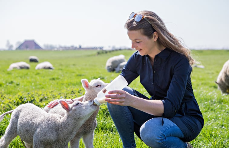 Natuurhuisje in Oudega SWF