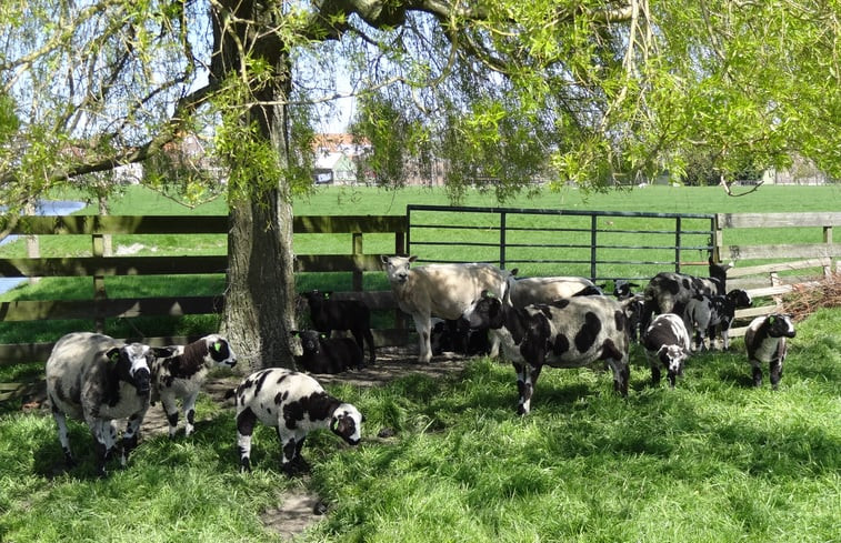 Natuurhuisje in Westbeemster