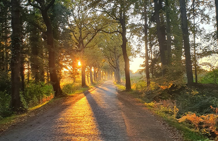 Natuurhuisje in Bockhorn-Grabstederfeld