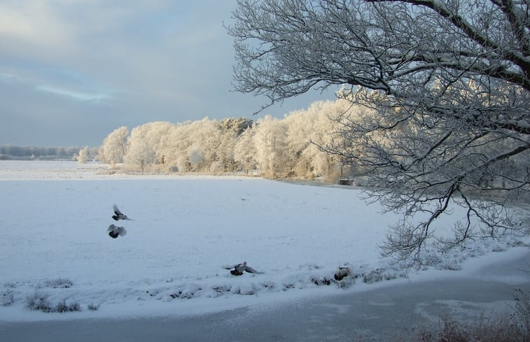 Natuurhuisje in Ommen