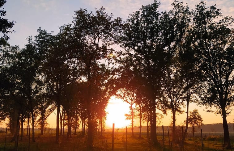 Natuurhuisje in Oirschot