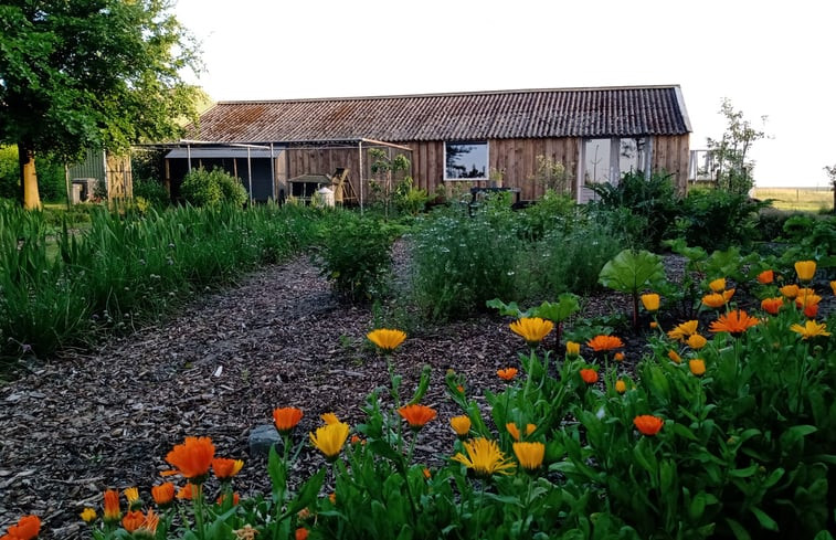 Natuurhuisje in Rilland