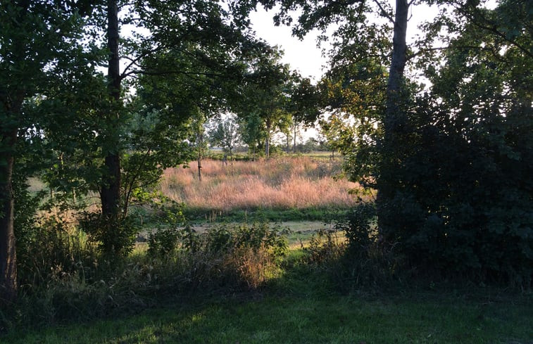 Natuurhuisje in Ruinen