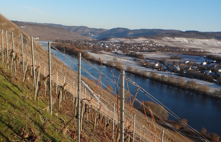 Natuurhuisje in Bernkastel-Kues