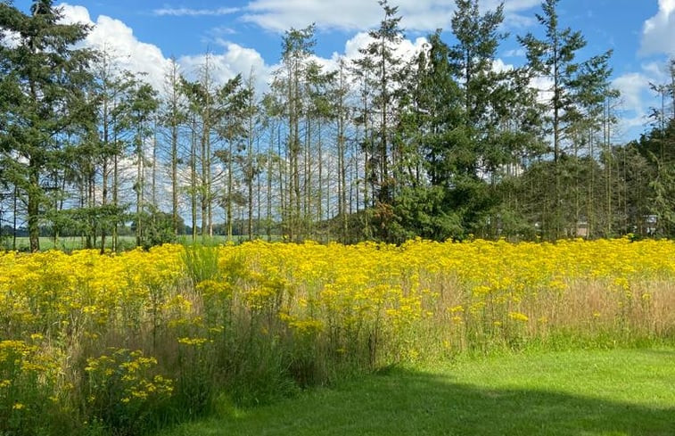 Natuurhuisje in Odoorn