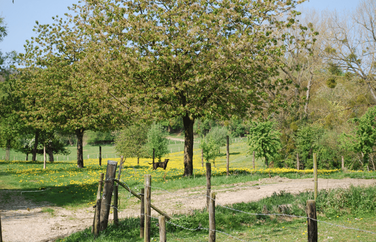 Natuurhuisje in Mechelen