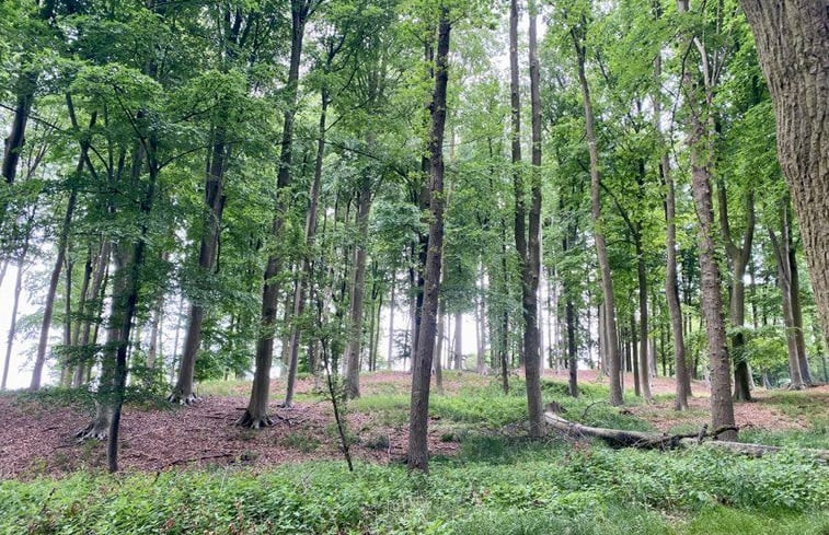 Natuurhuisje in Brakel