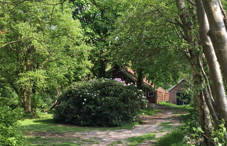 Natuurhuisje in Vriescheloo