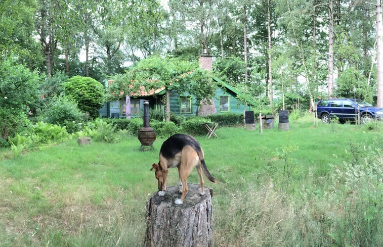 Natuurhuisje in Zeegse