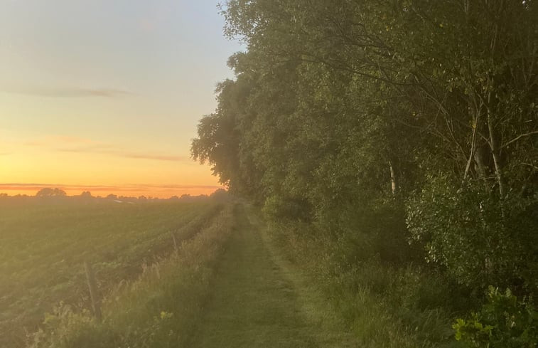 Natuurhuisje in Haulerwijk