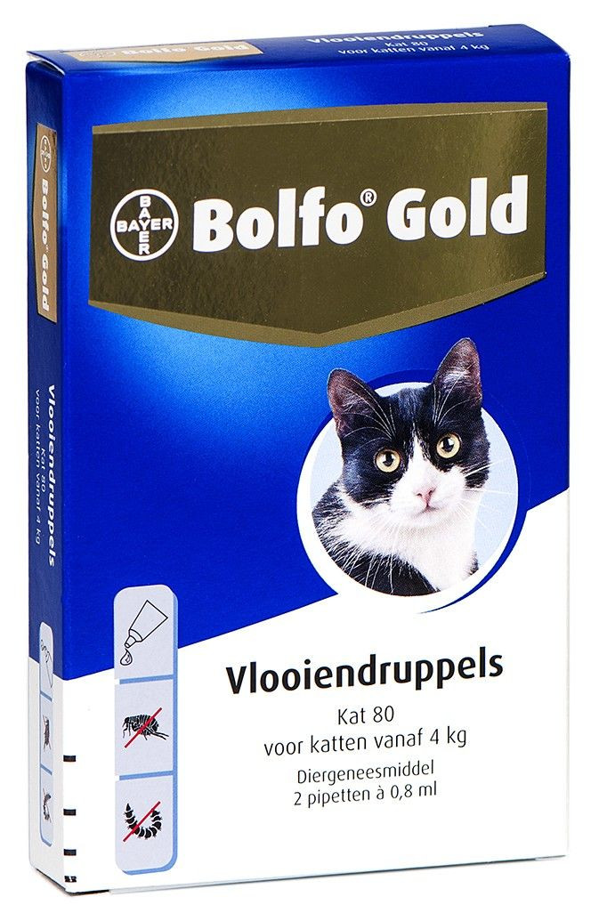 Bolfo Gold Spot-On Kat 80 vanaf 4kg - 2 pip