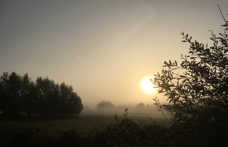 Natuurhuisje in Brummen