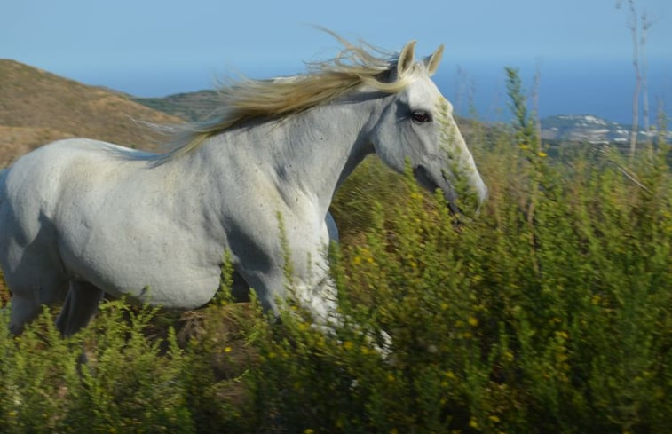 Natuurhuisje in Nerja / Maro