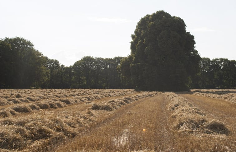 Natuurhuisje in Garderen