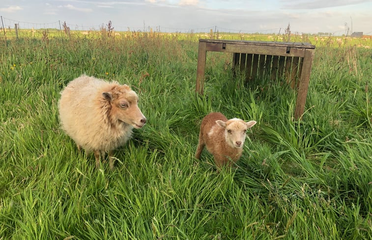 Natuurhuisje in Oosterend, Texel